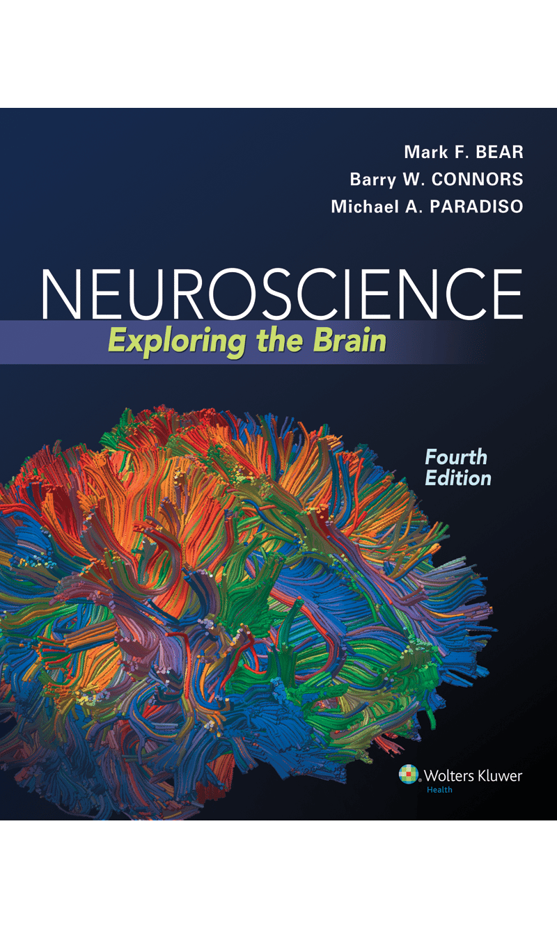 Bear Neuroscience Exploring The Brain Fourth Edition 9780781778176 Bear neuroscience exploring the brain fourth edition 9780781778176