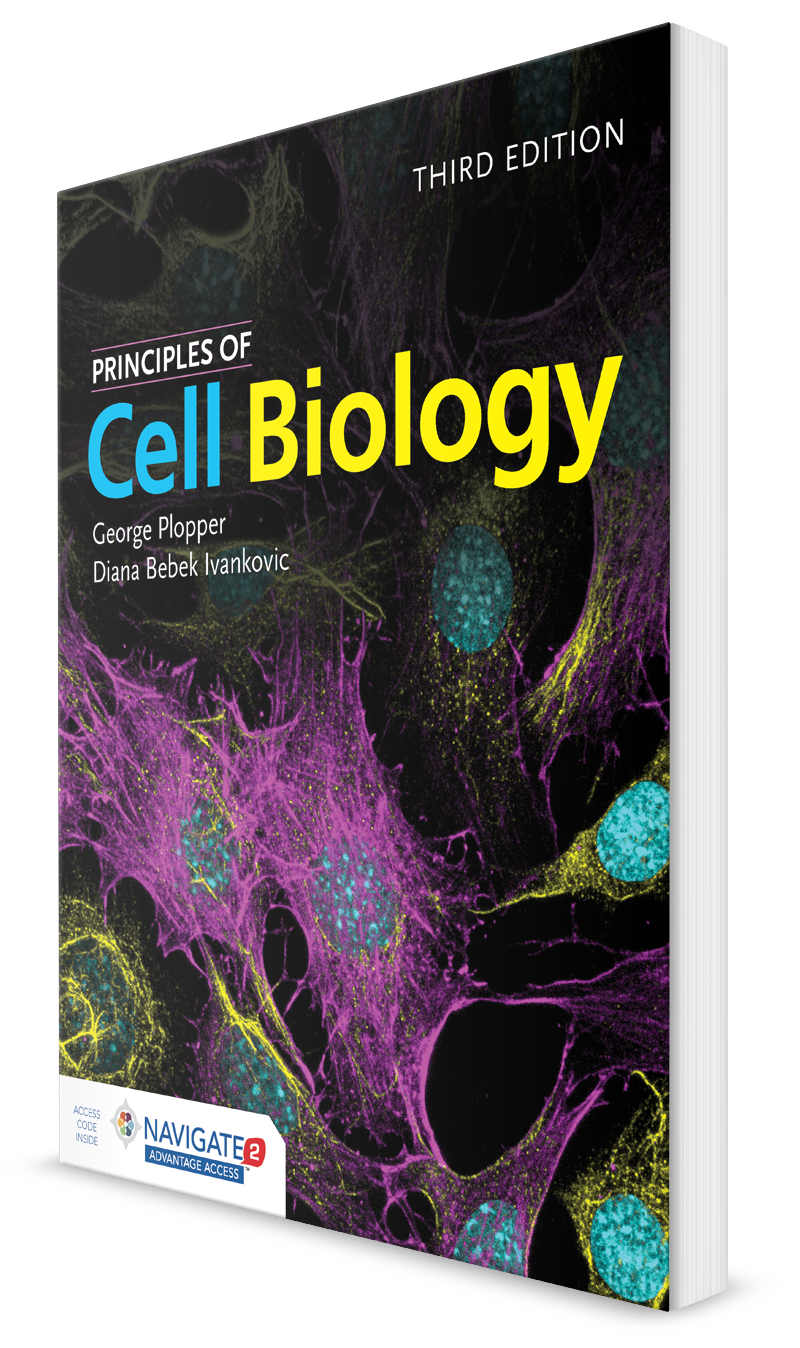 Plopper Principles of Cell Biology 9781284149845